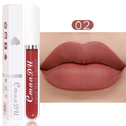 Waterproof Long Lasting Matte Lip Gloss